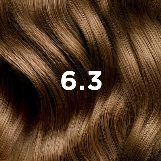 Phytocolor 6.3 Dark Golden Blonde