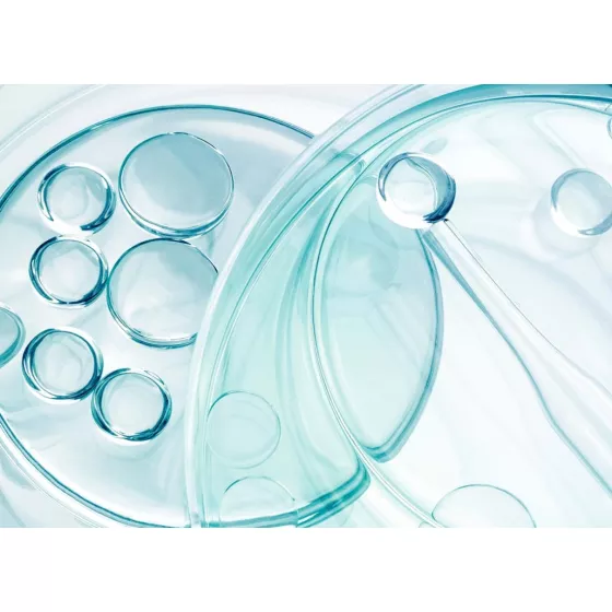 Bioderma Pigmentbio Day Cream SPF50+ 40ml