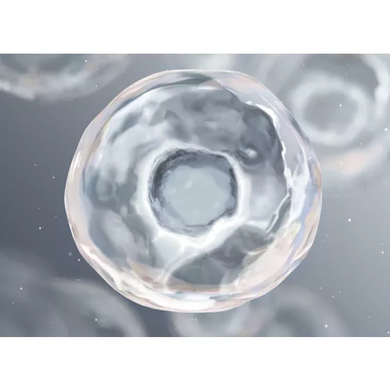 Bioderma Pigmentbio Day Cream SPF50+ 40ml