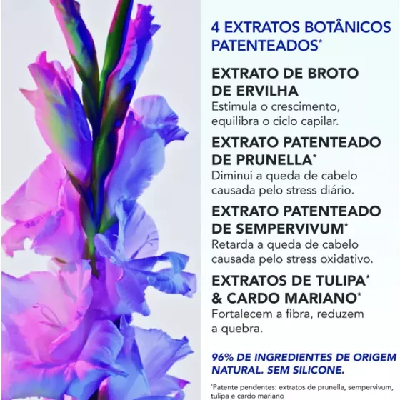 Phyto PhytoPhanere Queda de Cabelo Reacional 12 Ampolas x 5ml