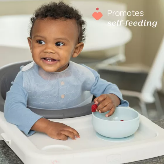 Chicco Grey Easy Bowl 6m+