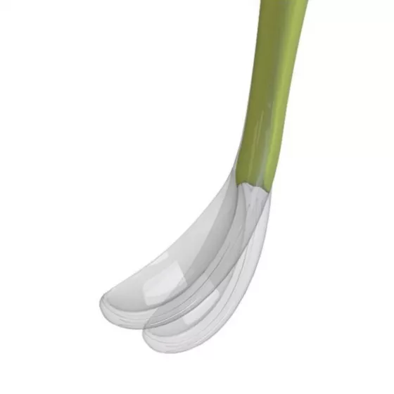 Chicco Colher Verde Softly Spoon 6m+